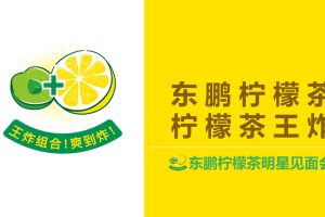 饮料品牌东鹏柠檬茶2021明星见面会活动策划方案（PPT）