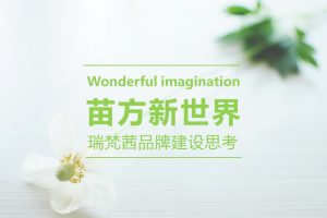 美妆护肤品牌瑞梵茜品牌建设思考方案（PPT）