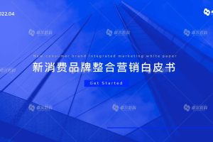 2022新消费品牌整合营销白皮书（PDF）