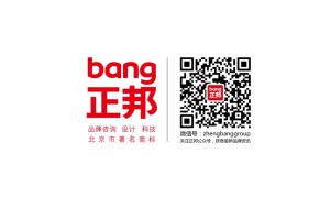 汽车金融品牌奇瑞徽银2016年度数字化整合传播方案（PPT）