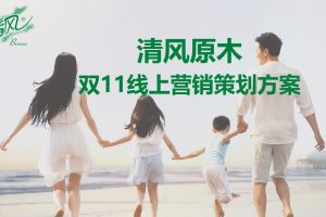 清风原木纸巾双11数字化广告媒介策略方案（PPT）