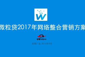 微粒贷2017年网络整合营销方案（PPT）