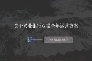 兴业银行双微运营规划方案（PDF）