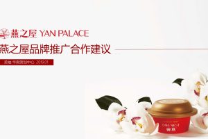 燕之屋x美柚平台品牌推广合作方案（PPT）