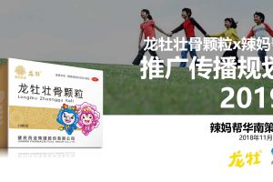 医药品牌龙牡补钙产品x辣妈帮2019品牌推广规划方案（PDF）
