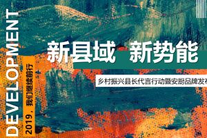 2019乡村振兴县长代言行动暨安厨品牌发布会活动方案（PPT）