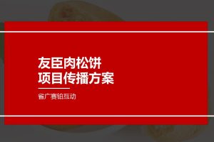 食品品牌友臣肉松饼项目传播方案（PPT）