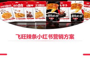 食品品牌飞旺辣条2022小红书品牌种草营销方案（PPT）