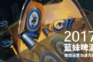 蓝妹啤酒微信公众号运营传播策略方案（PDF）