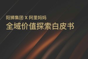 阳狮集团 x 阿里妈妈 全域价值探索白皮书（PDF）