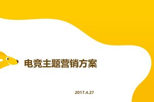 美团外卖2017校园电竞主题推广方案（PPT）