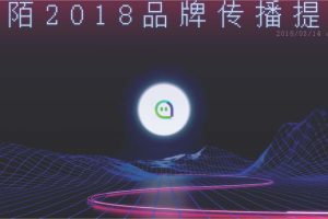 陌陌2018品牌传播创意方案（PDF）