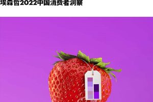 埃森哲2022中国消费者洞察主报告（PDF）