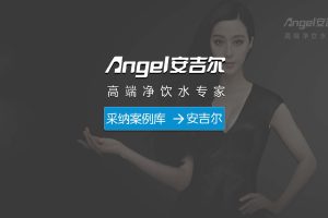 安吉尔净水器品牌战略案例（PDF）