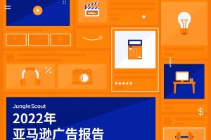 2022年亚马逊广告报告（PDF）