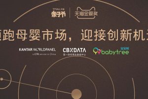 宝宝树：领跑母婴市场迎接创新机遇（PDF）