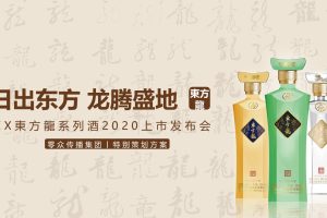 2020白酒品牌五粮液东方龙系列上市发布会活动策划方案（PPT）