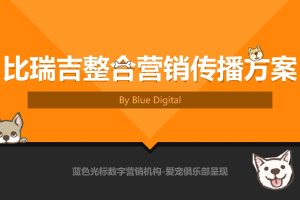 宠物食品品牌比瑞吉整合营销方案（PDF）