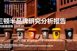 三顿半品牌研究分析报告–伟大航路咨询（PDF）