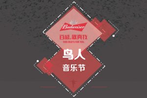 百威啤酒鸟人音乐节活动策划方案（PDF）