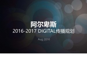 糖果品牌阿尔卑斯2017春节新媒体营销方案（PDF）