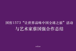 白酒品牌国窖1573”让世界品味中国“艺术家蔡国强合作总结（PPT）