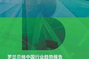 2022中国行业趋势报告-罗兰贝格（PDF）