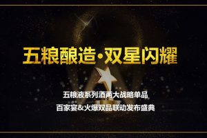 五粮液系列白酒两大战略单品联动发布会活动策划案（PPT）