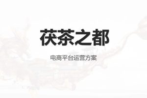 茯茶之都微信商城电商运营方案（PDF）