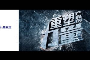 天佑德白酒品牌战略规划建议方案（PDF）