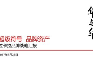 拉卡拉互联网金融品牌战略汇报方案（PPT）