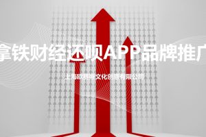 拿铁财经还呗APP品牌推广方案（PPT）