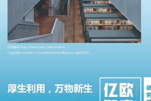 2022循环电商研究报告-亿欧智库（PDF）