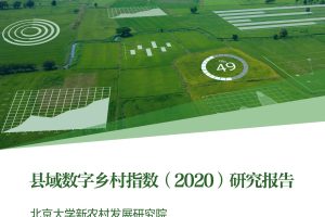北京大学&阿里研究院：县域数字乡村指数（2020）（PDF）