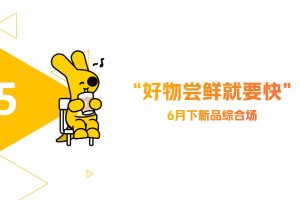 2022美团闪购“好物尝鲜就要快”6月新品大促活动招商方案（PDF）
