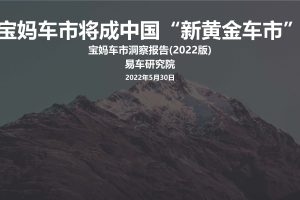 2022宝妈车市洞察报告-易车研究院（PDF）