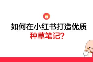 如何在小红书打造优质的种草笔记（PDF）