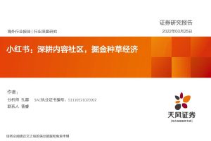 小红书：深耕内容社区，掘金种草经济（PDF）