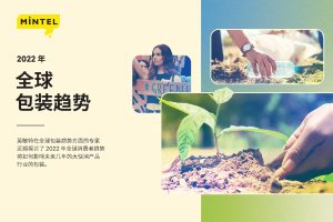 英敏特：2022年全球包装趋势（PDF）