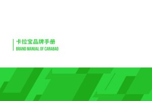 卡拉宝能量功能饮料品牌手册（PDF）
