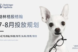 勃林格殷格翰宠物食品7-8月社会化媒体投放规划方案（PDF）