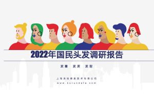 2022年国民头发调研报告-库润数据（PDF）