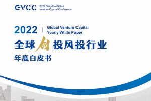 GVCC2022全球创投风投行业年度白皮书（PDF）