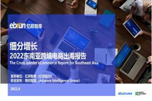 2022东南亚跨境电商出海报告-亿邦智库（PDF）