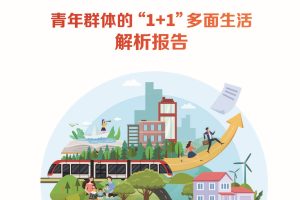 人民数据研究院：青年群体的“11”多面生活解析报告（PDF）