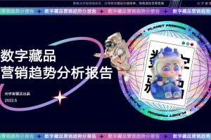 2022数字藏品行业营销趋势分析报告-元宇宙雷达（PDF）