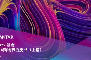 2022凯度618购物节白皮书-凯度（PDF）