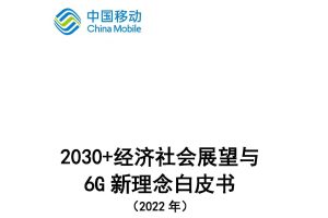 2030经济社会展望与6G新理念白皮书（PDF）