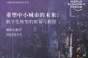 重塑中小城市的未来：数字化转型的框架与路径-腾讯研究院5（PDF）