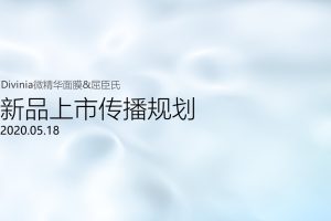 2020美妆品牌Divinia精华面膜新品上市传播规划方案（PPT）